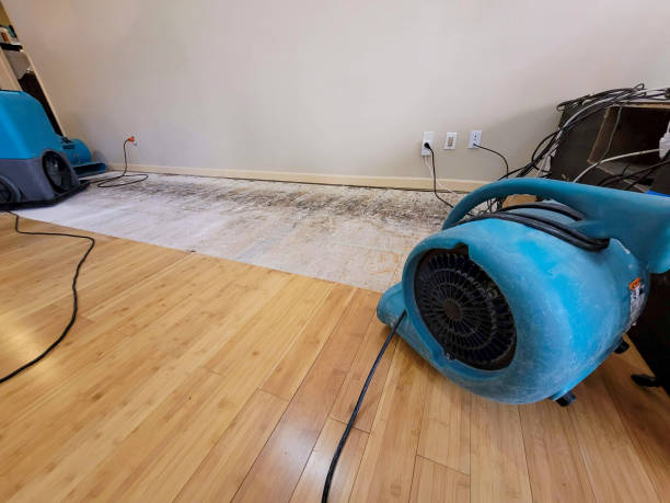 Professional Basement Flood Cleanup technician working in Derby, KS